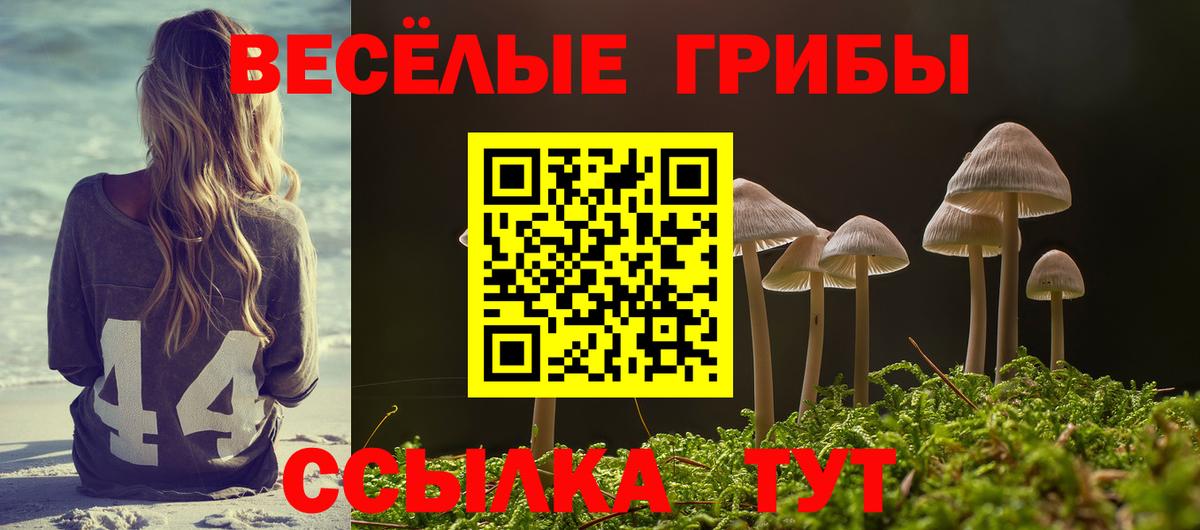 Торжок  Псилоцибиновые грибы Magic Shrooms  Вход с VPN 