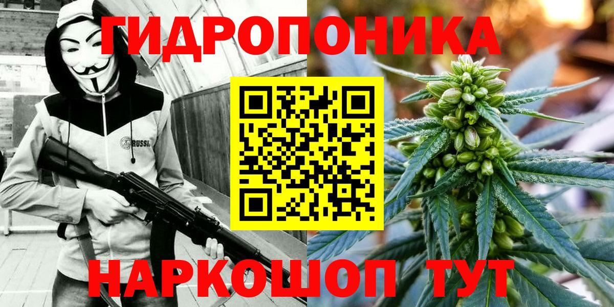Бошки Шишки план  Бошки Шишки тримм  Торжок  Канабис LSD WEED  Вход с VPN  Марихуана конопля 